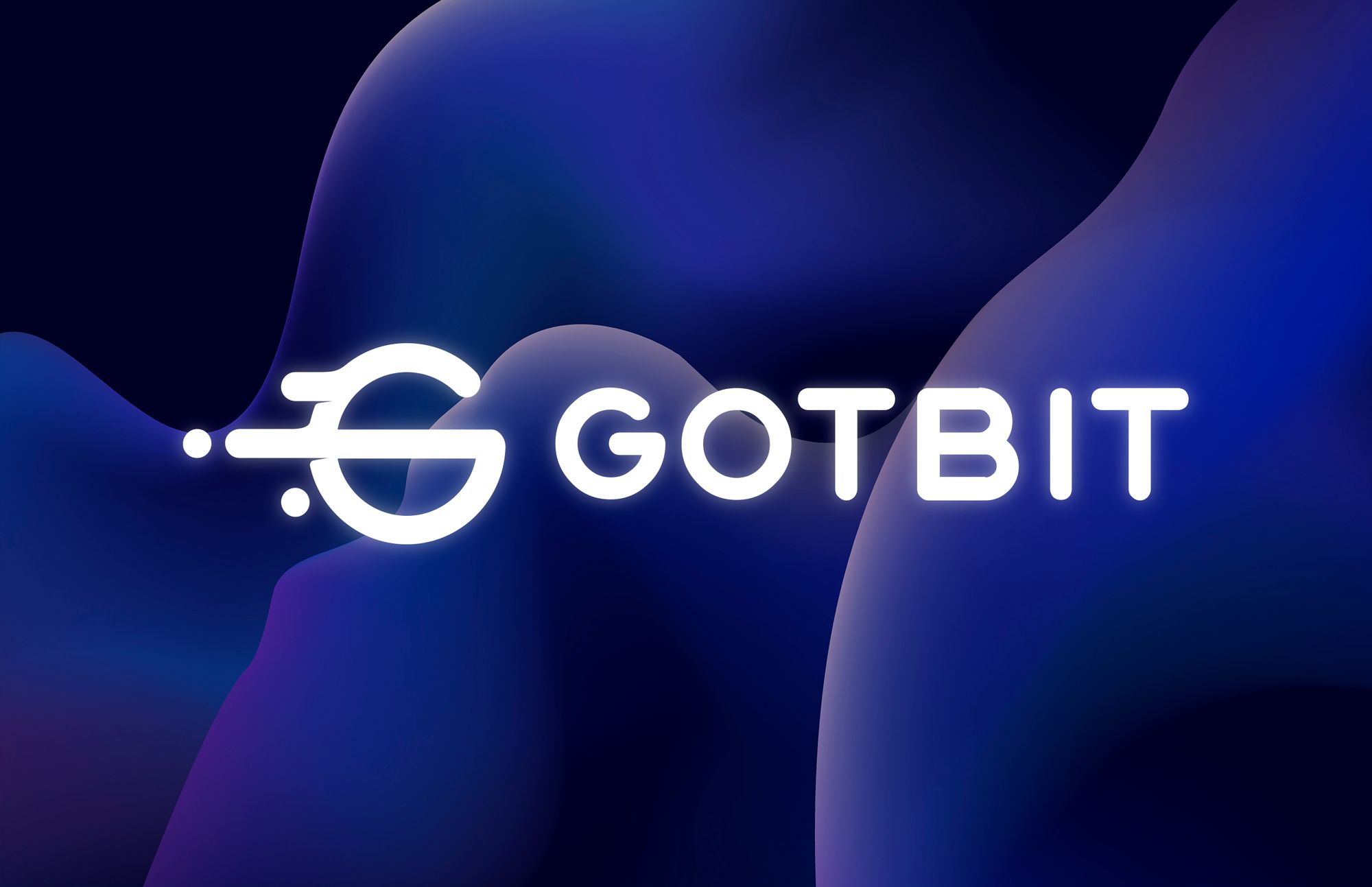 GotBit: A Successful Team